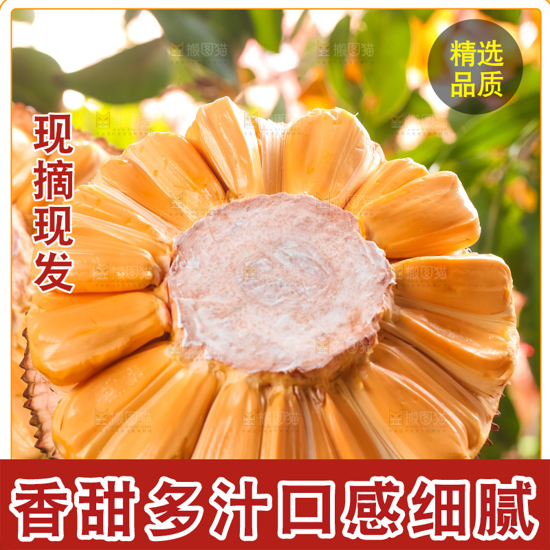 石板上放着红心菠萝蜜