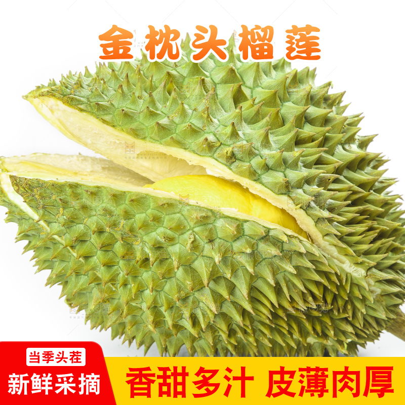 白底上放着泰国金枕榴莲