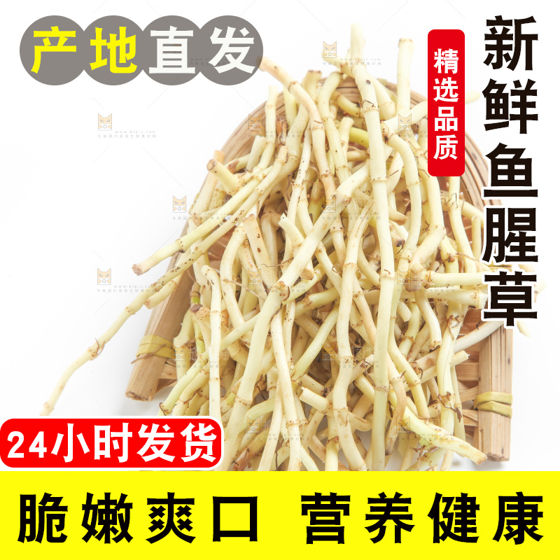 白底上的鱼腥草