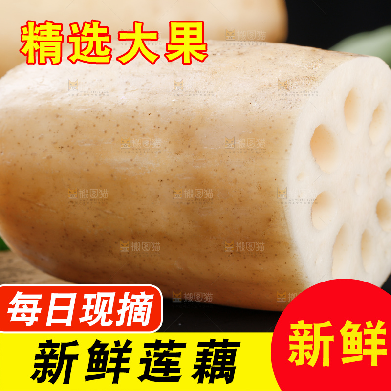 黑底上的莲藕