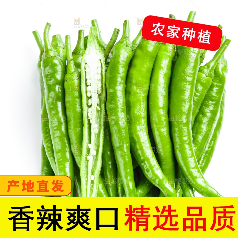 白底上摆放着新鲜杭椒