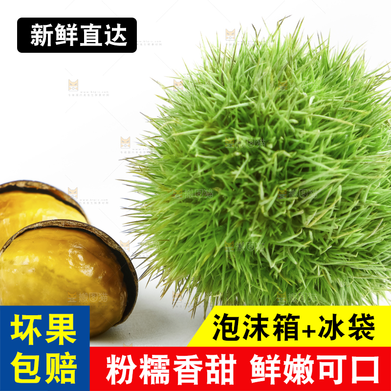 白底上摆放着迁西板栗