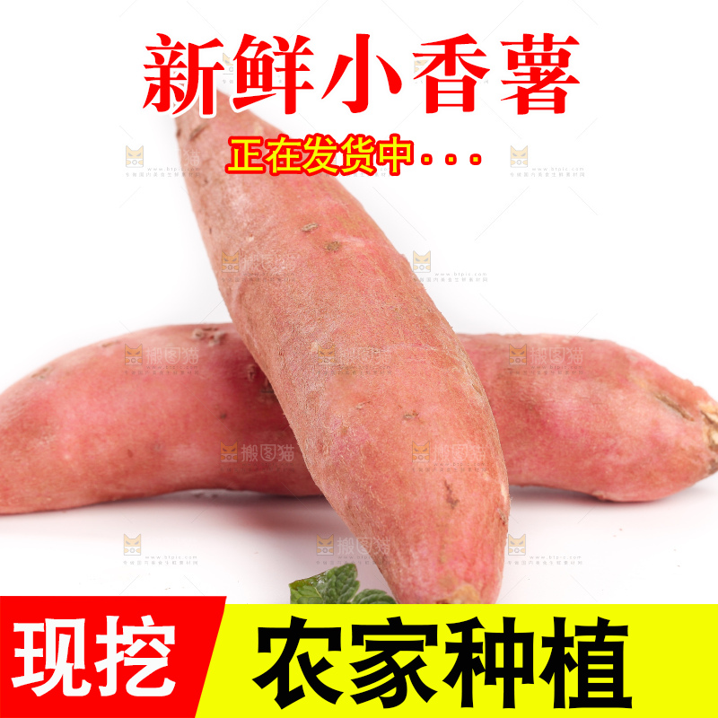 白底上的沙地板栗蜜薯