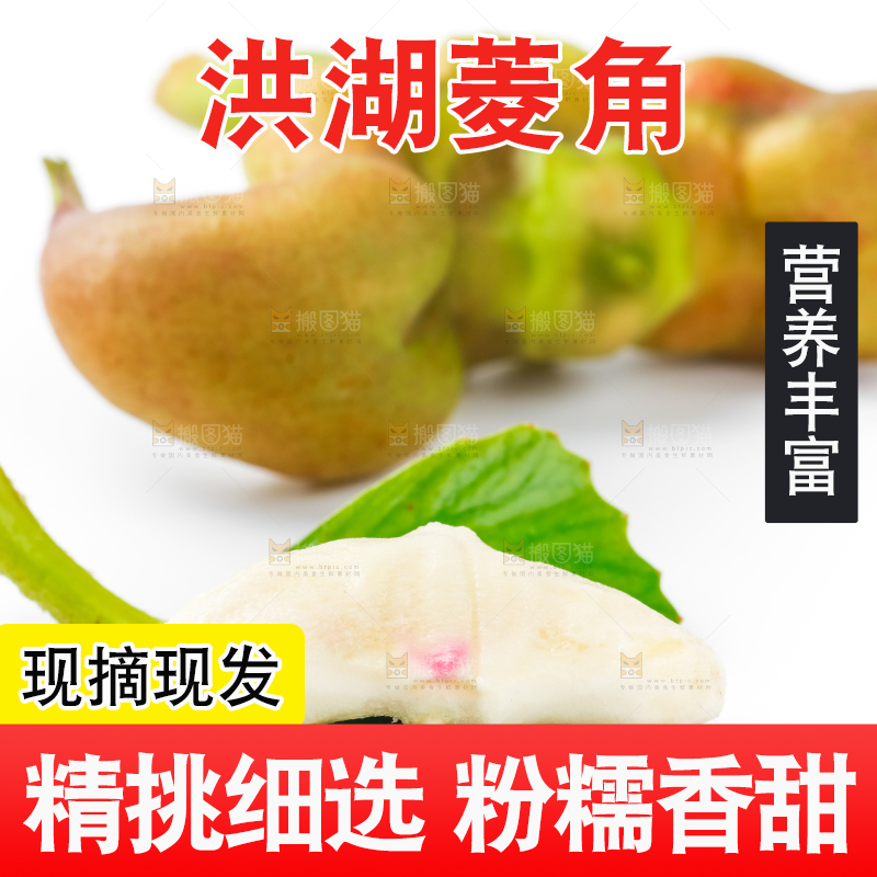 浅底上的新鲜菱角