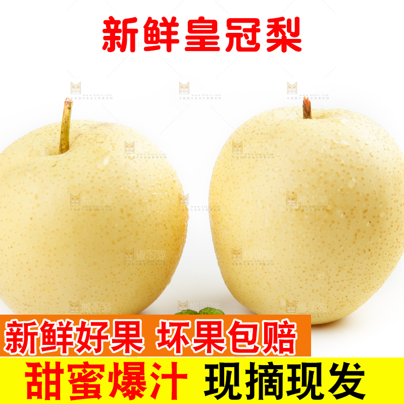 白底上摆放着河北皇冠梨