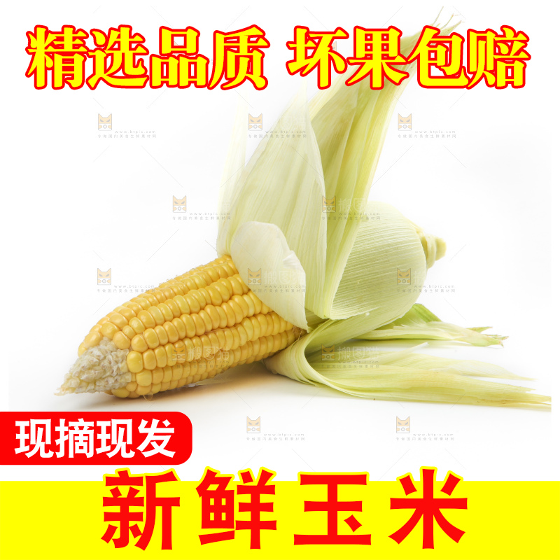 白底上放着黄玉米