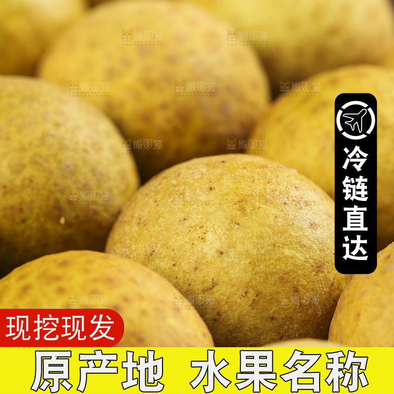 石板上的南平龙眼