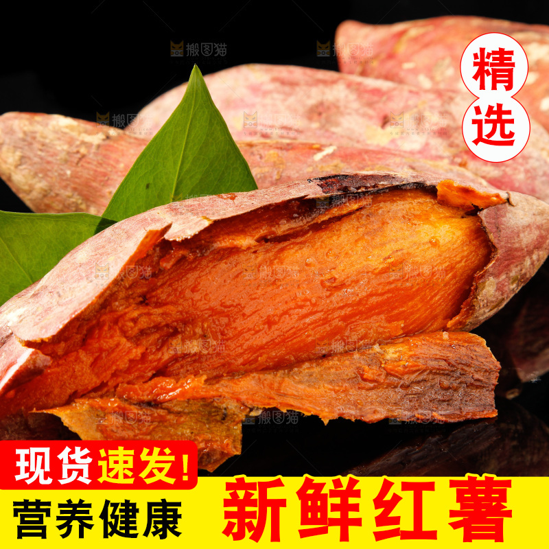 黑底上的烟薯25号