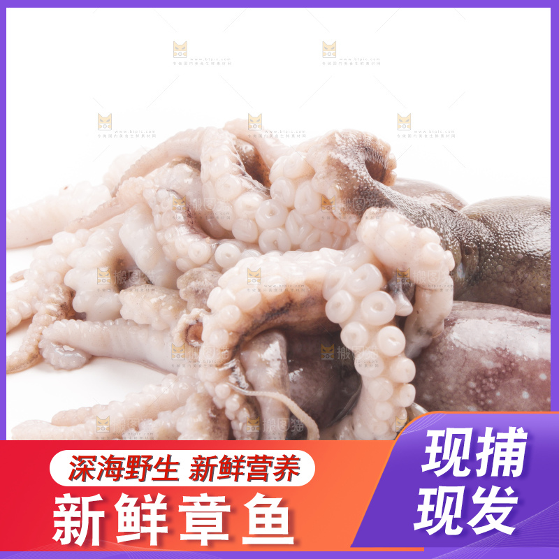 白底上摆放着小章鱼