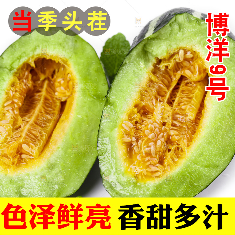 白底上放着博洋蜜脆甜瓜
