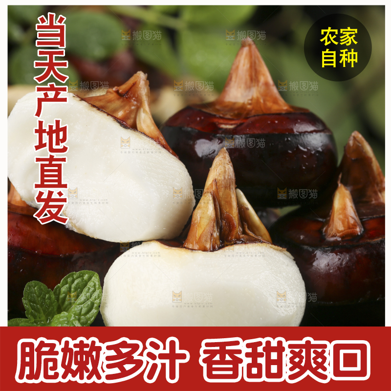 黑石板上的荔浦马蹄