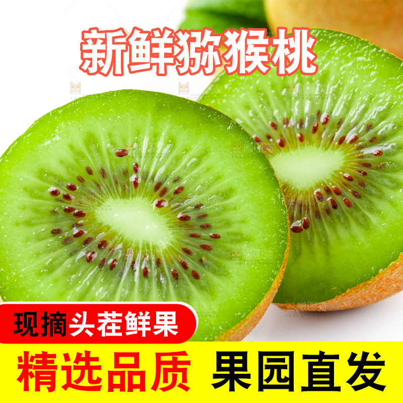 白底上摆放着翠香猕猴桃
