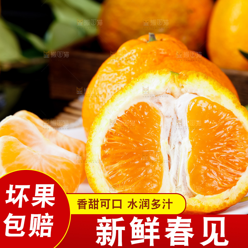 盘子里装着四川春见耙耙柑