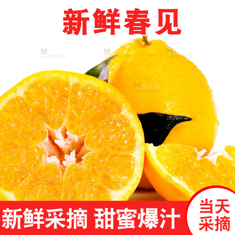 白底上放着耙耙柑