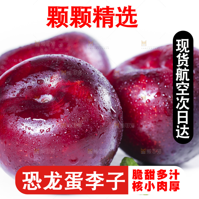 白底上摆放着新鲜恐龙蛋李
