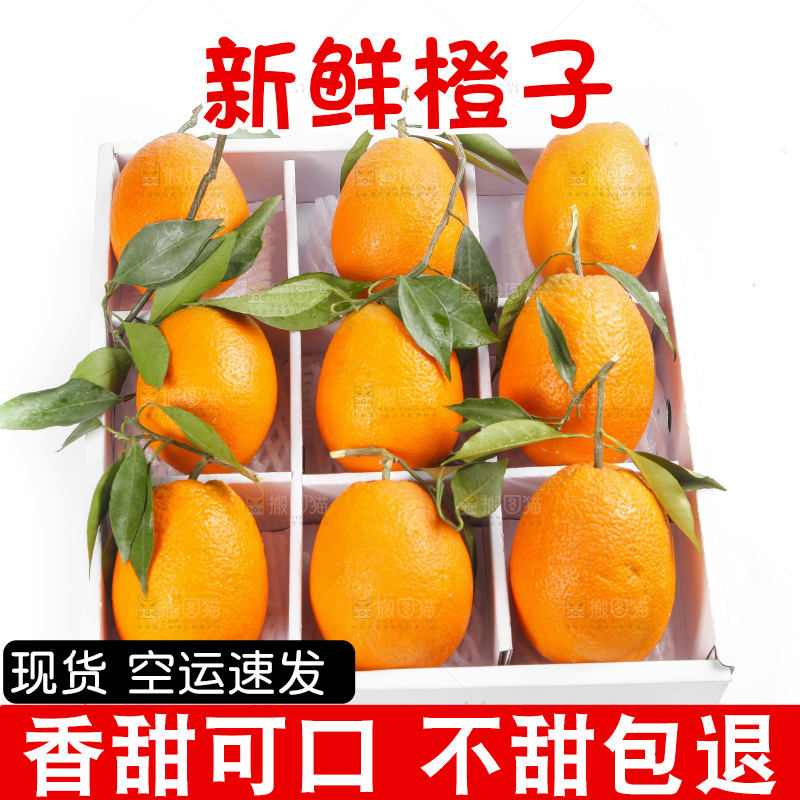 箱子里装着脐橙