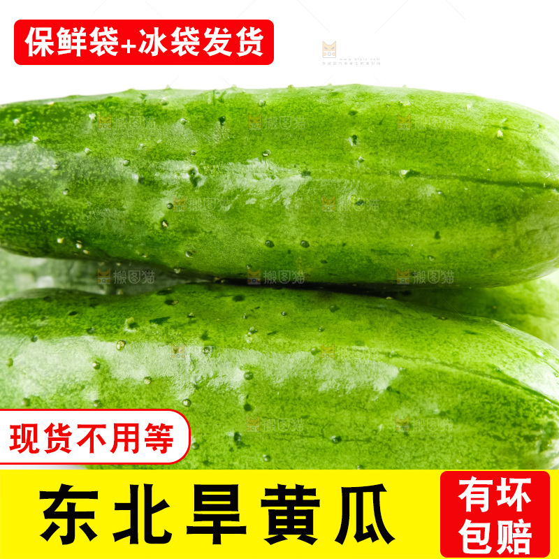 白底上的小黄瓜