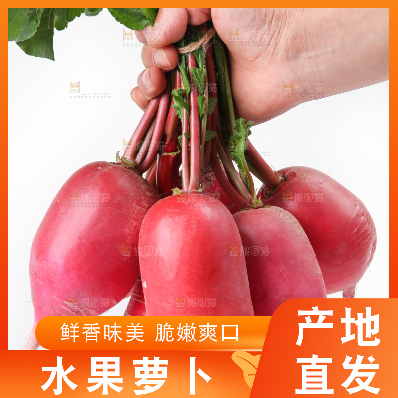白底上的红萝卜