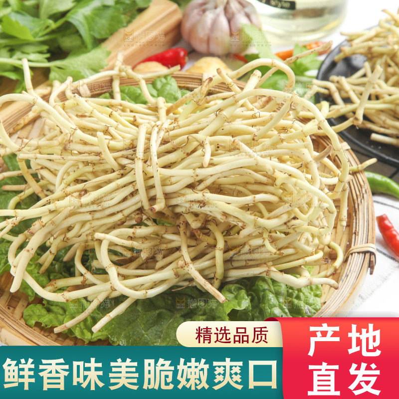 篮子里装着鱼腥草