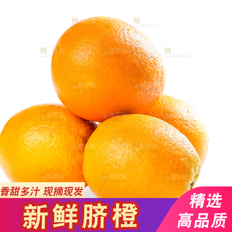 白底上的高山甜橙