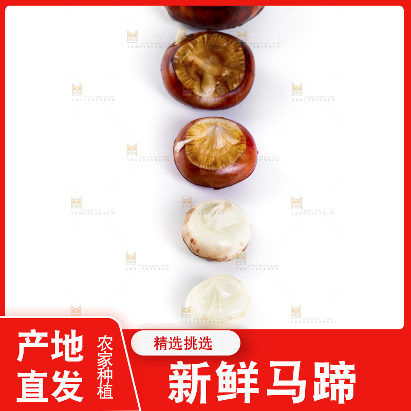 白底上的菩荠