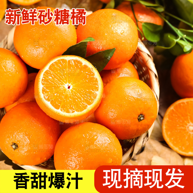 篮子里装着四会砂糖橘