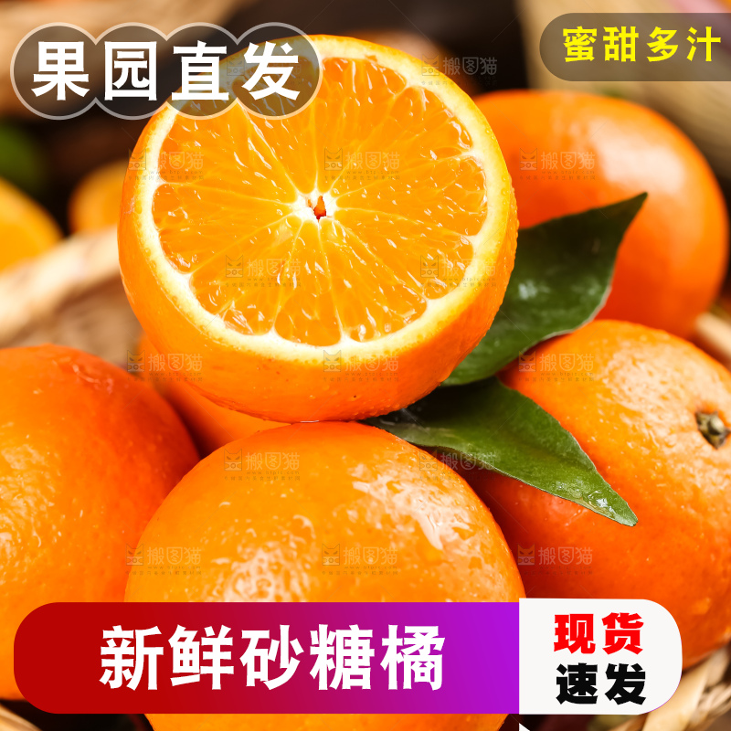 篮子里装着四会砂糖橘