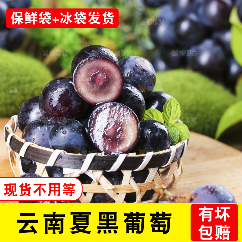 篮子里装着夏黑无籽葡萄