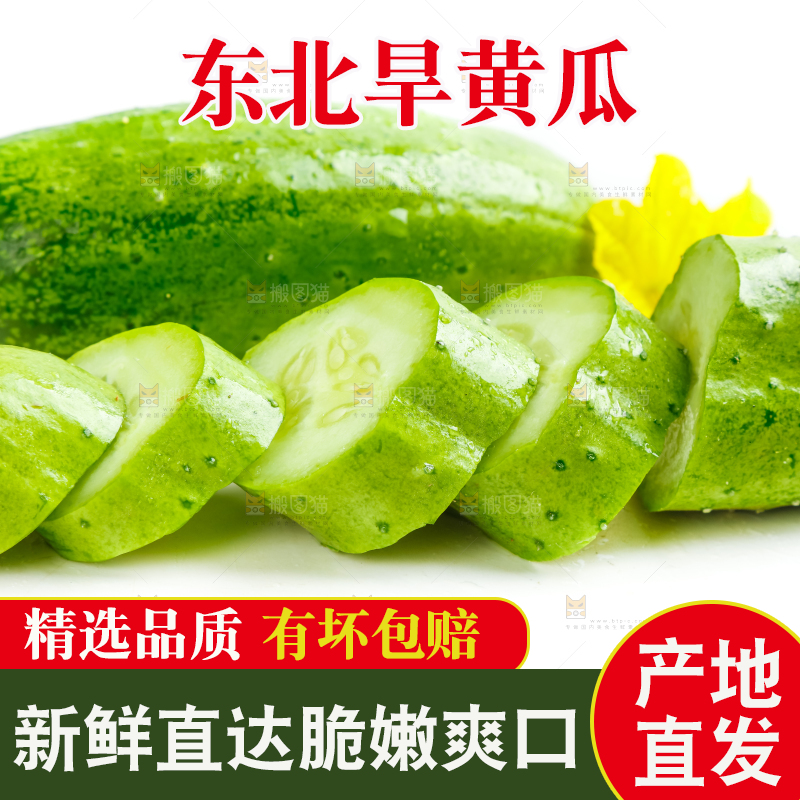 白底上放着新鲜旱黄瓜