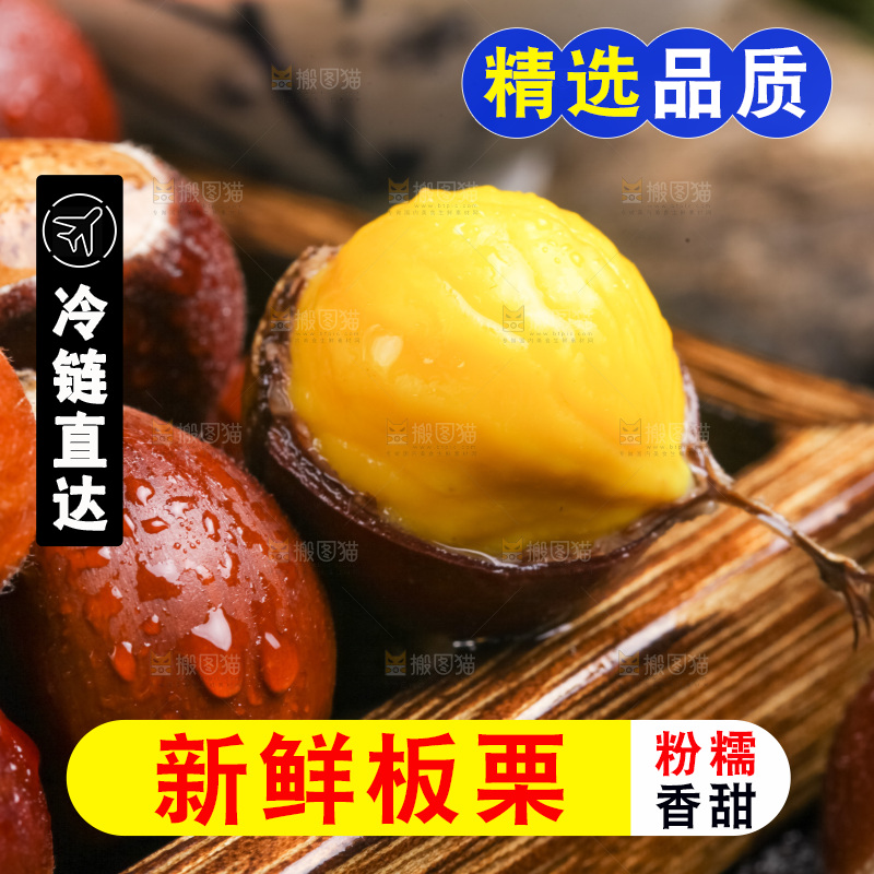 深底上的迁西板栗