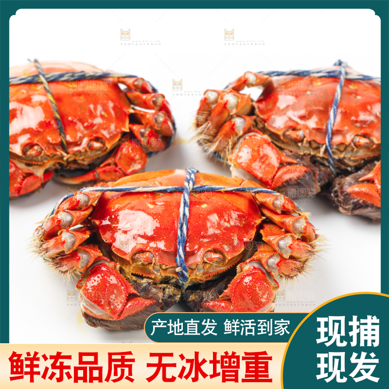 白底上放着螃蟹