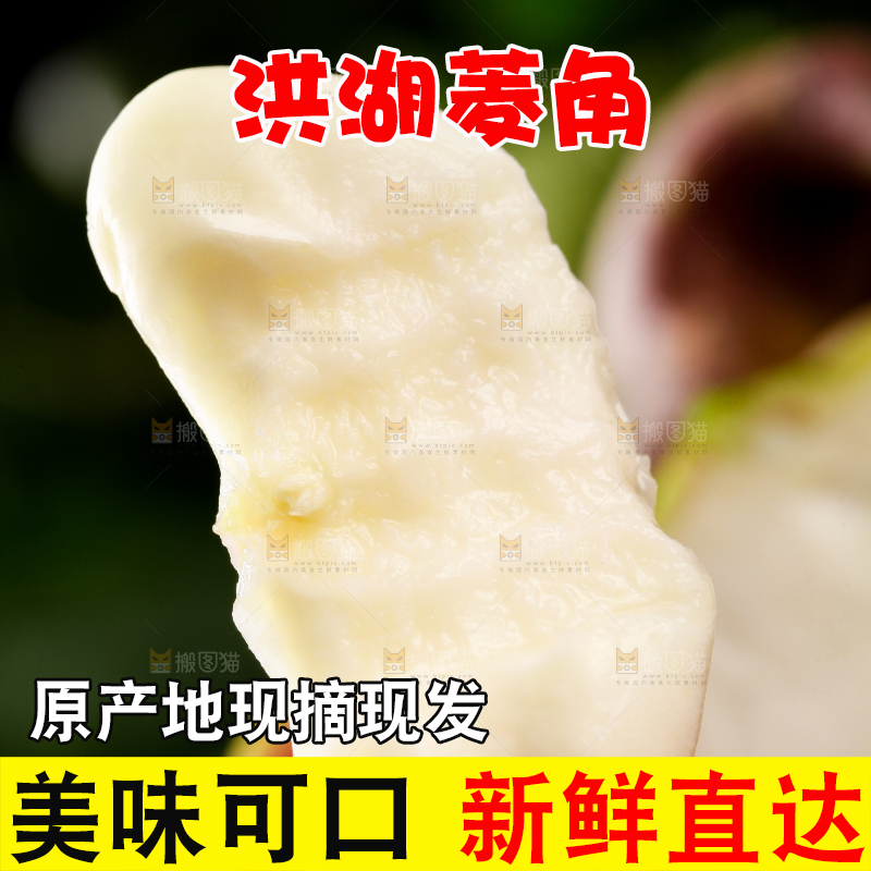 手里拿着新鲜菱角