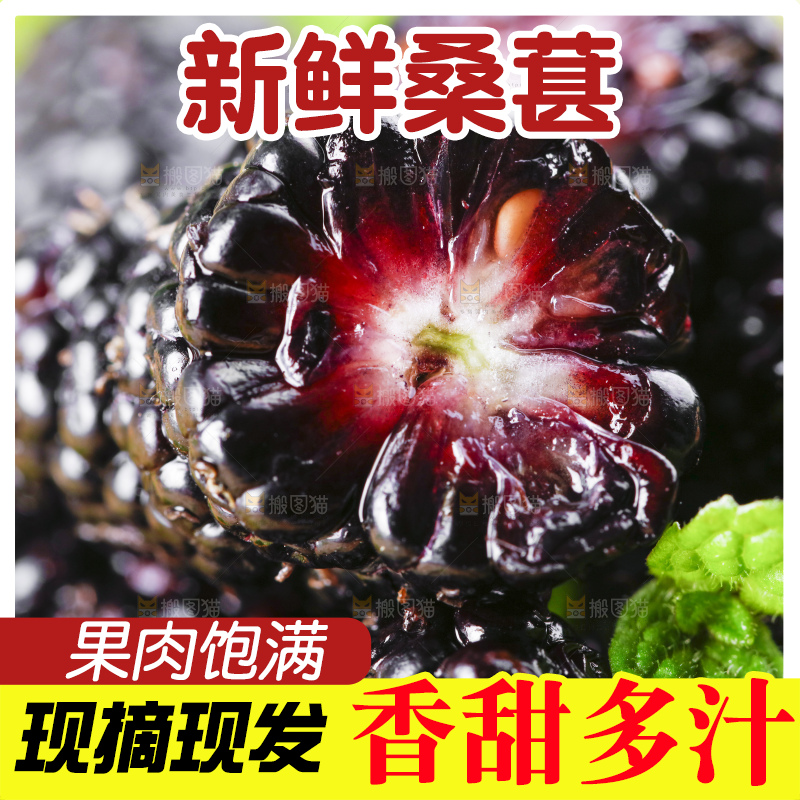碟子里装着桑葚子