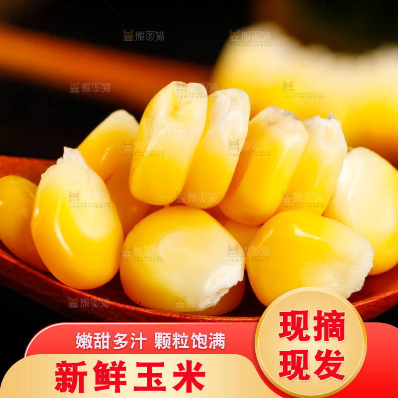 深底上的东北玉米