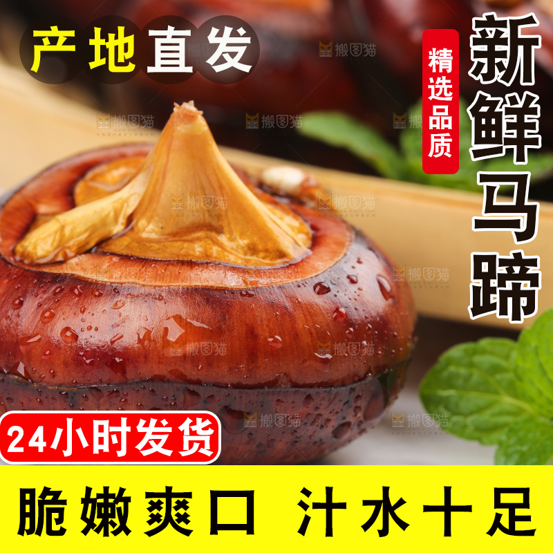 白底上放着马蹄