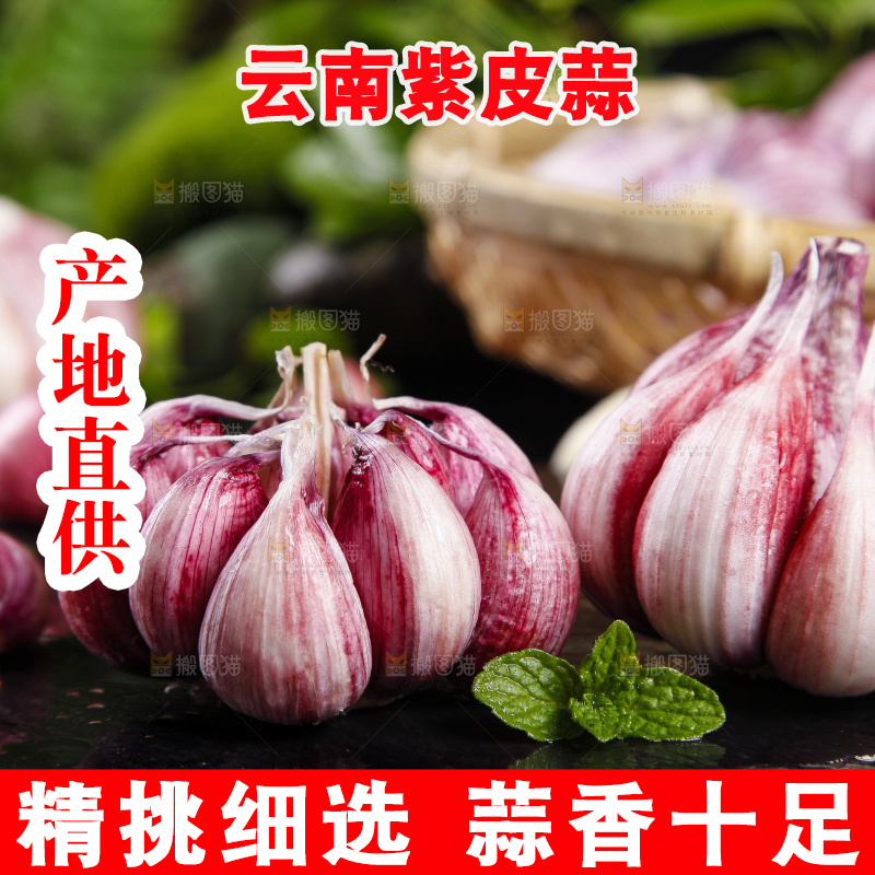 黑底上放着紫皮多瓣大蒜