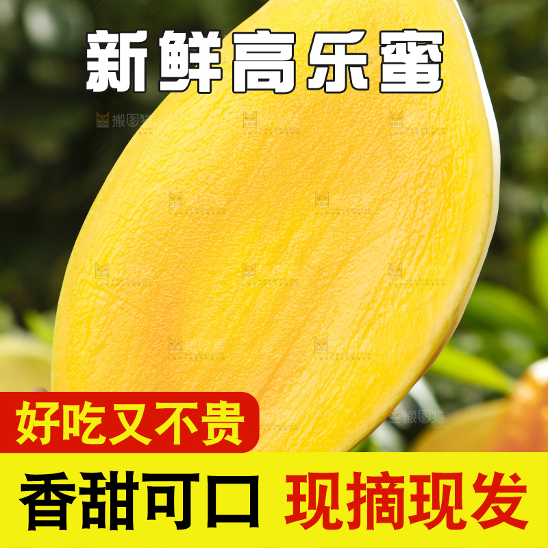 手里拿着金煌芒