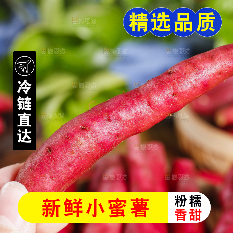 手里拿着小蜜薯