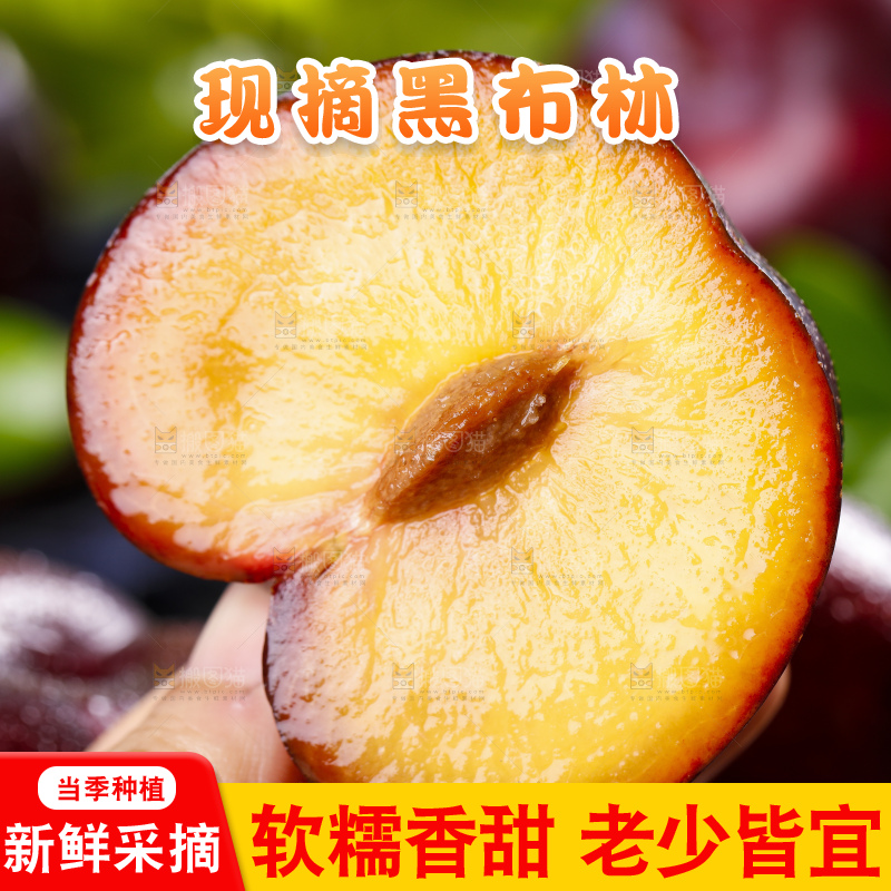手里拿着黑布林