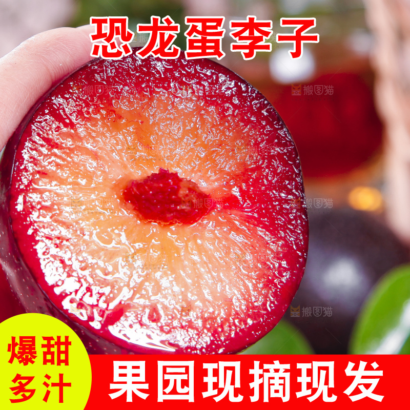 手里拿着红心恐龙蛋