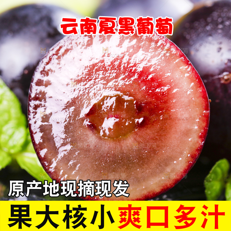 黑底上摆放着黑加仑葡萄
