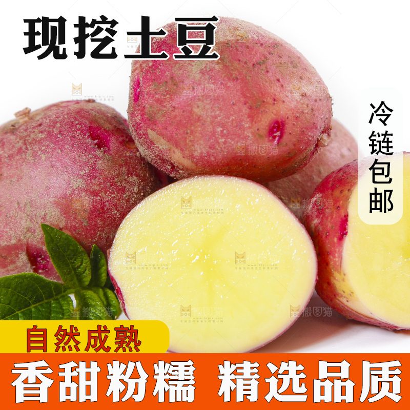白底上摆放着红皮黄心土豆