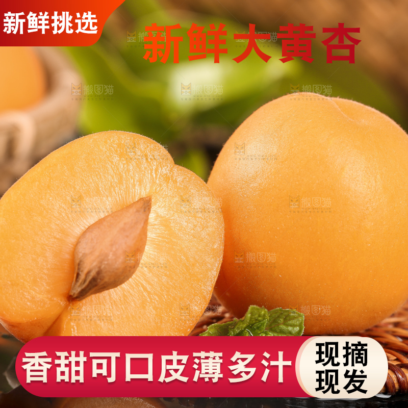 黑底上摆放着大黄杏