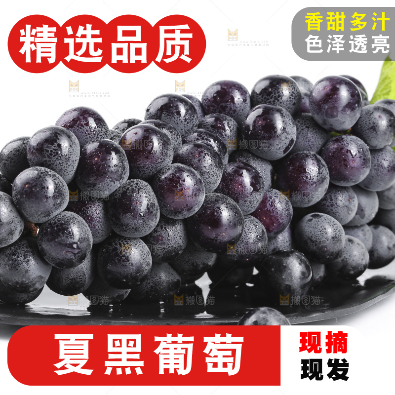 白底上摆放着黑加仑葡萄