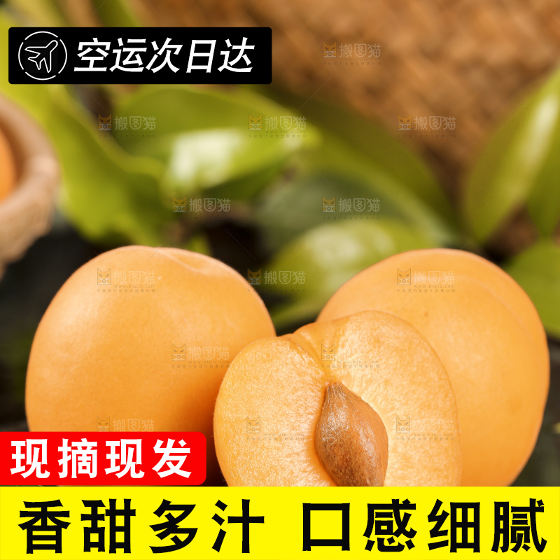 黑底上摆放着大黄杏