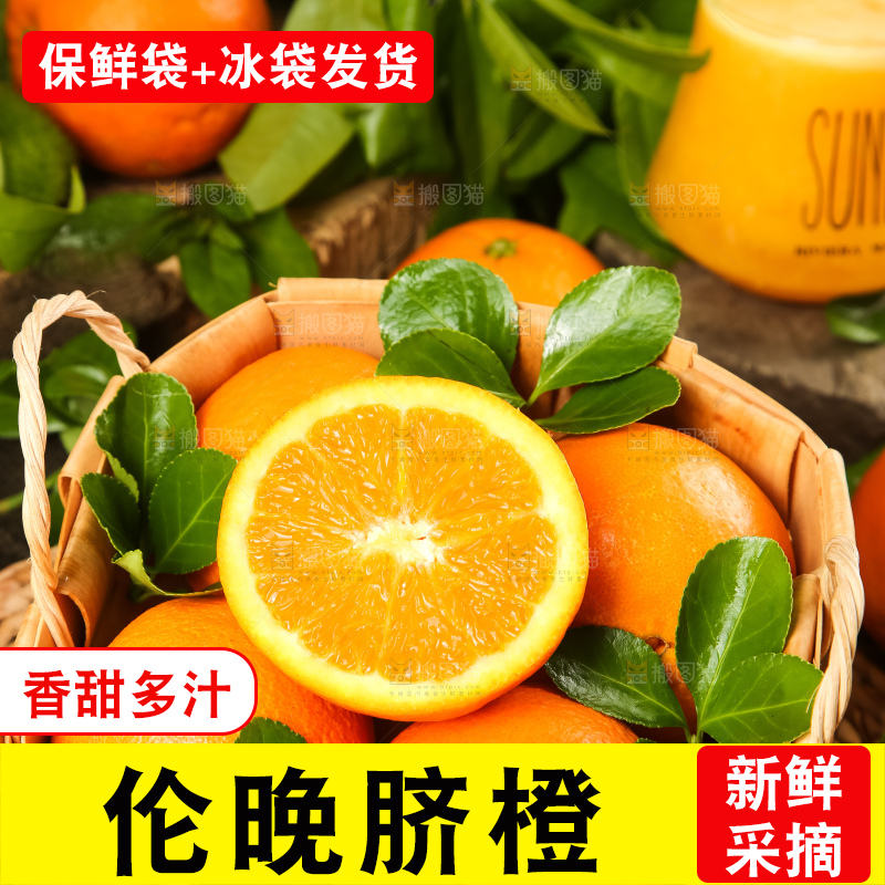 篮子里放着秭归脐橙