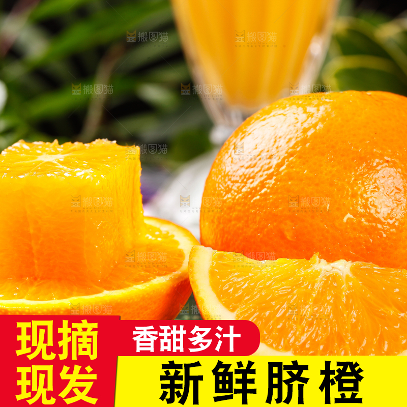 黑底上放着秭归脐橙