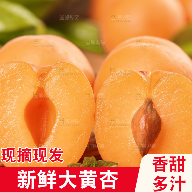 木底上摆放着烟台杏子