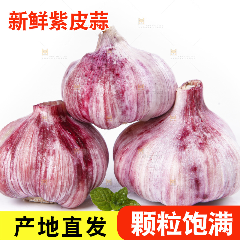 白底上放着紫皮蒜