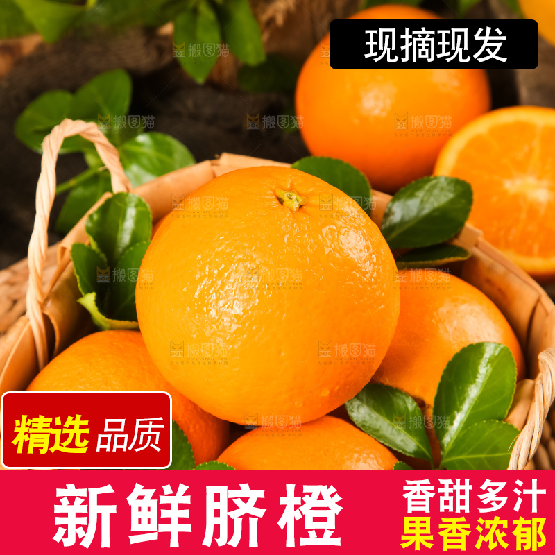 篮子里放着秭归脐橙